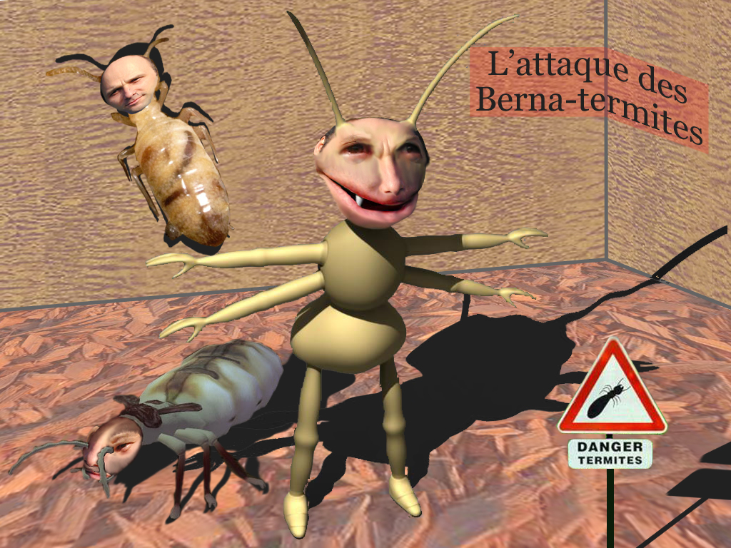 Berna-termite